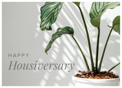 Happy Housiversary